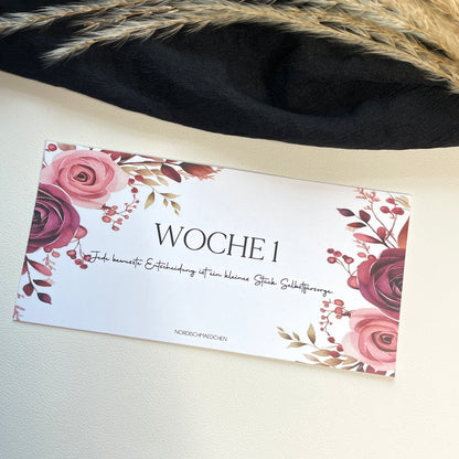 A5 & A6 Dashboards personalisiert | Rose & Calm